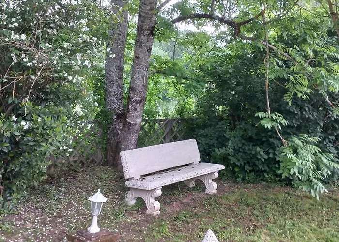 Albi à Proximité, Les Oliviers