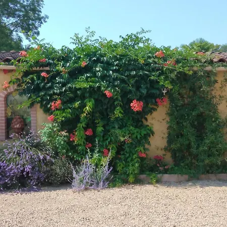 Semesterbostad Albi A Proximite, Les Oliviers Rosieres (Tarn)