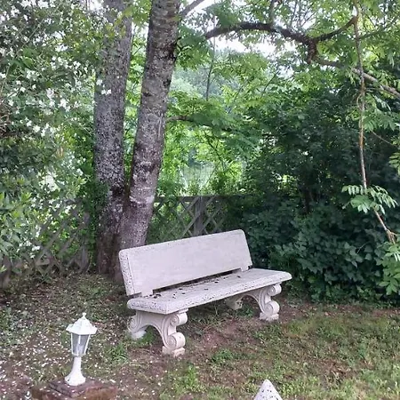 Albi A Proximite, Les Oliviers