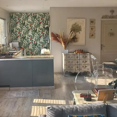 Albi A Proximite, Les Oliviers Rosieres (Tarn)