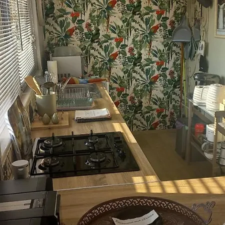 Albi A Proximite, Les Oliviers *