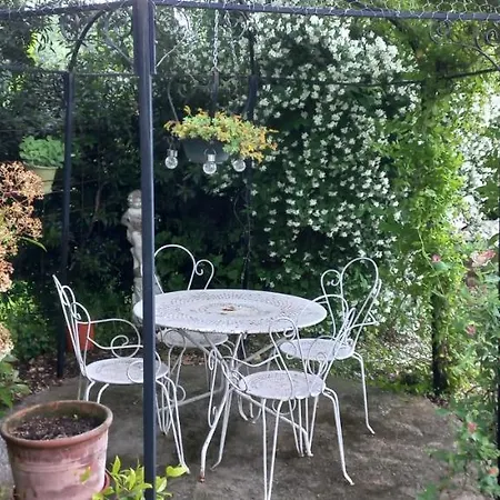 Albi A Proximite, Les Oliviers *