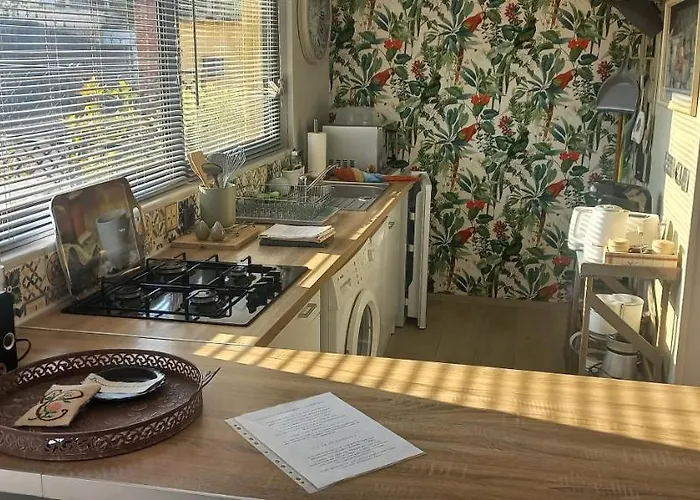 Albi à Proximité, Les Oliviers * Rosieres (Tarn)